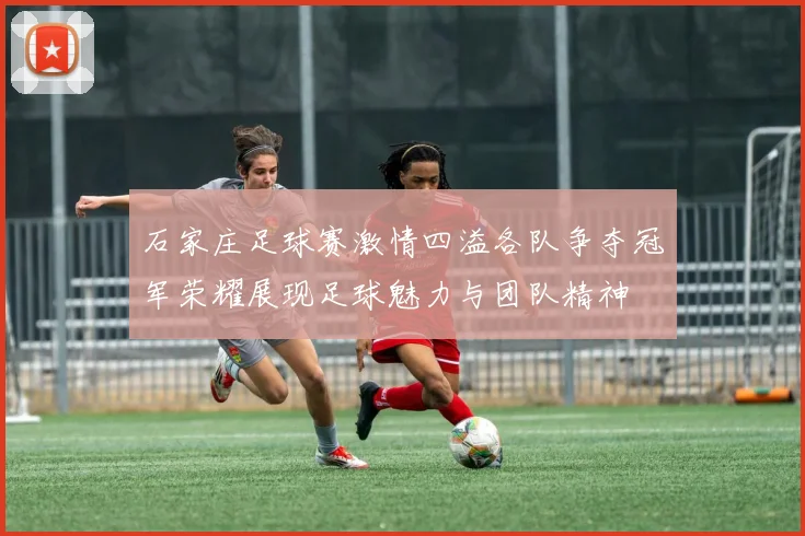 石家庄足球赛激情四溢各队争夺冠军荣耀展现足球魅力与团队精神