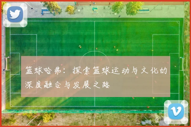 篮球哈弗：探索篮球运动与文化的深度融合与发展之路