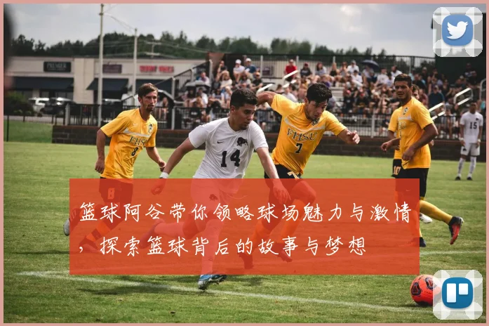 篮球阿谷带你领略球场魅力与激情，探索篮球背后的故事与梦想