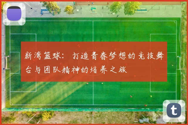 新湾篮球：打造青春梦想的竞技舞台与团队精神的培养之旅