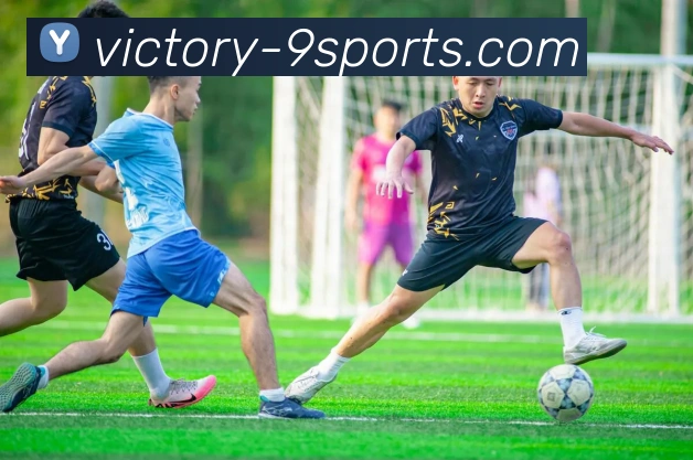 多媒体互动体验